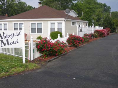 Susan's Garden